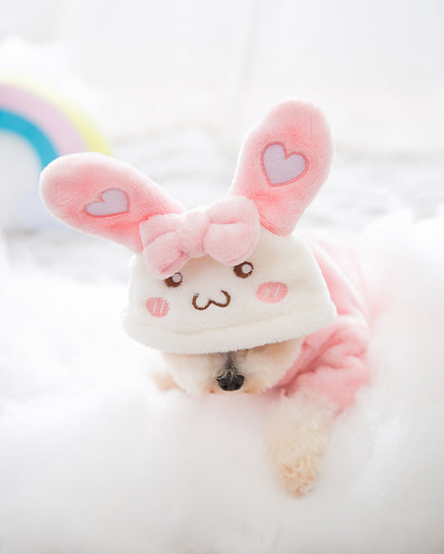 Little Bunny Fluffy Hoodie